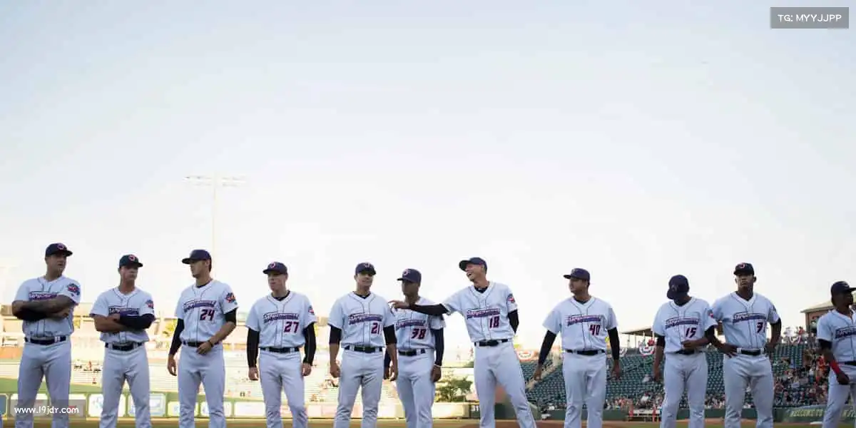 行业领先的理由